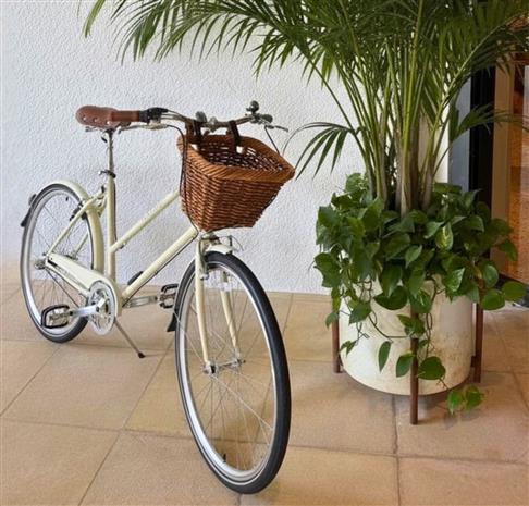 South Florida Wellness Resorts.