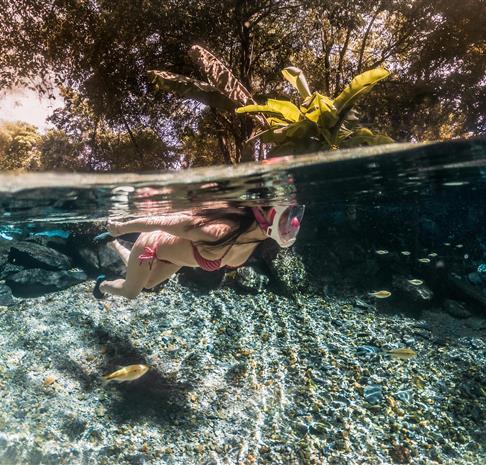 A woman going snorkeling in Ginnie Springs, FL surrounded by sunshine and clear water.