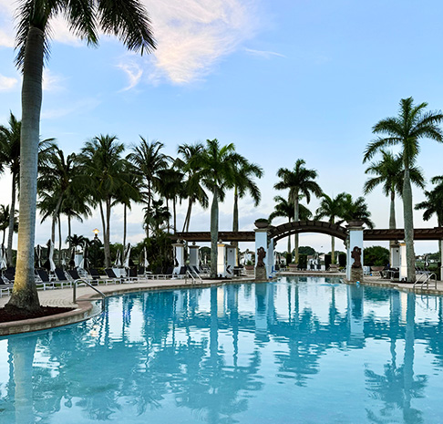 View of the pool with palm trees