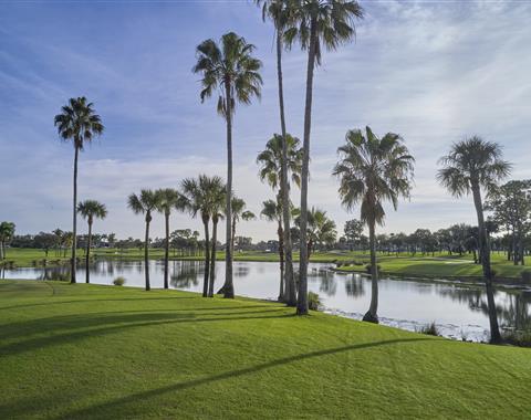 Champion course drone image