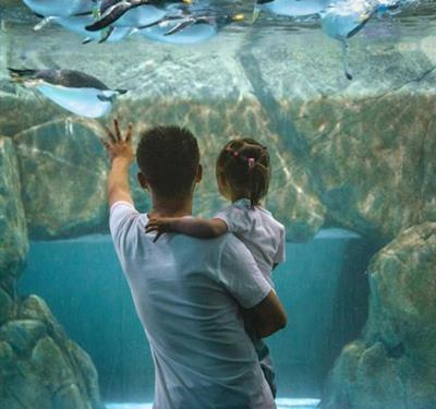 father with daughter at the aquarium