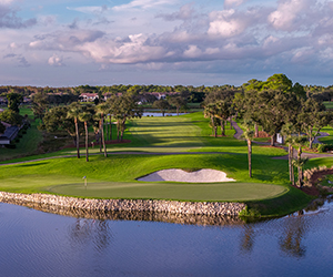hole 15 on The Champion